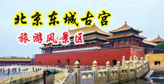 小骚操逼视频中国北京-东城古宫旅游风景区